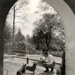 Pub-Still-w-Dogs-by-Pond-960