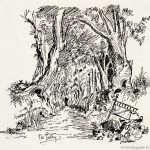 010-The-Gully