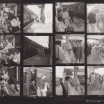 Ann Skinner - contactsheet - 12