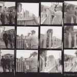 Ann Skinner - contactsheet - 16