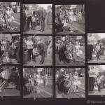 Ann Skinner - contactsheet - 21