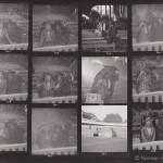 Ann Skinner - contactsheet - 26