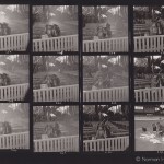 Ann Skinner - contactsheet - 27