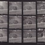 Ann Skinner - contactsheet - 3