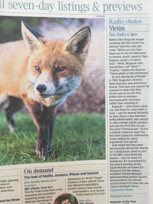 Sunday Times Review